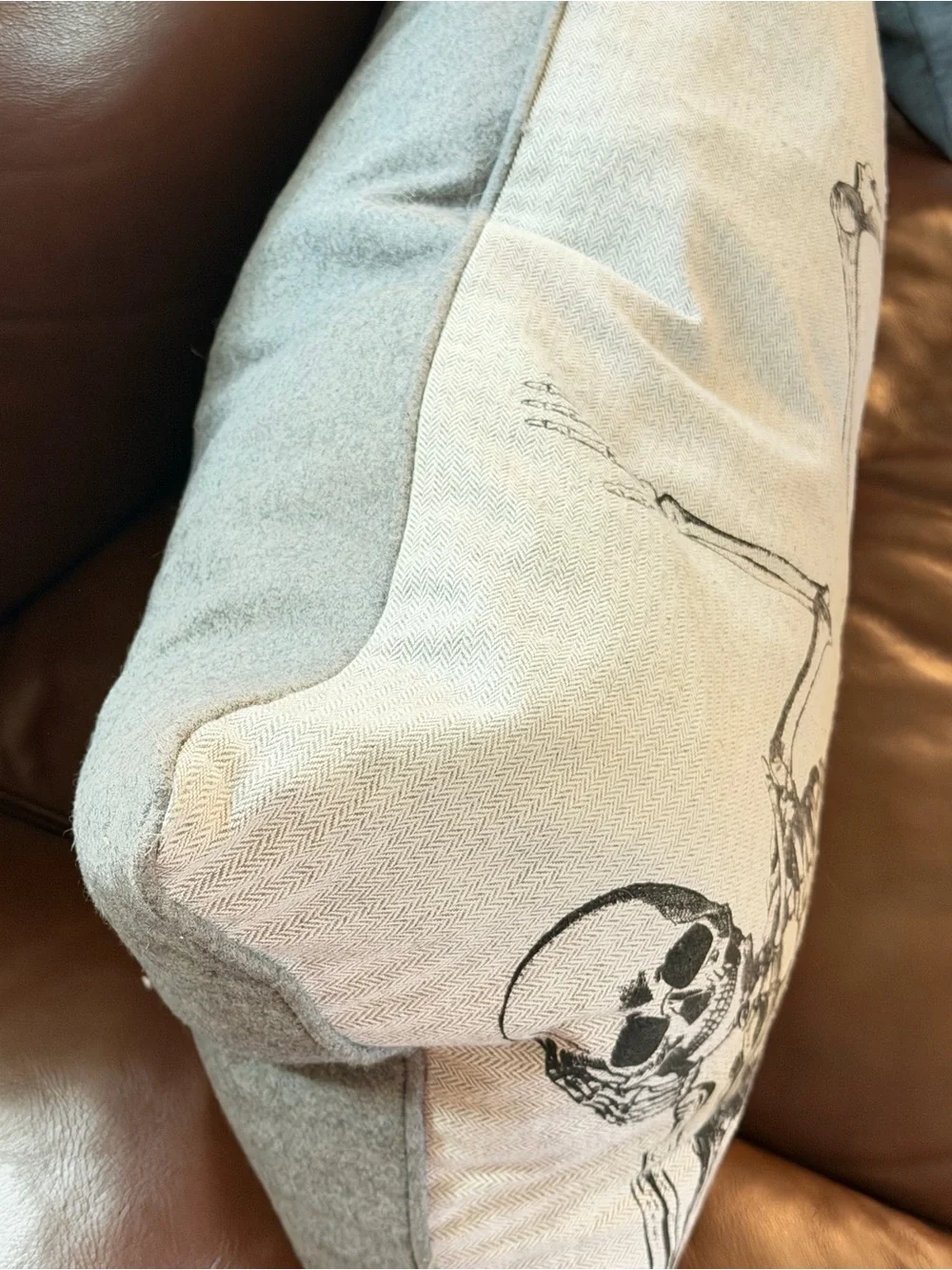 Halloween Skeleton Decorative Throw Pillow - Cream